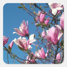 Frühlingrosa magnolische Blume am Himmel Quadratischer Aufkleber