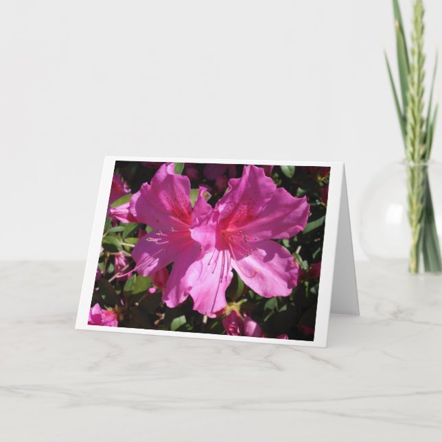 Frühlings-Anmerkungs-Karte Karte (Vorderseite)