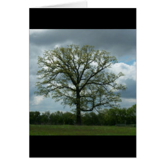 Frühlings-Baum-Karte