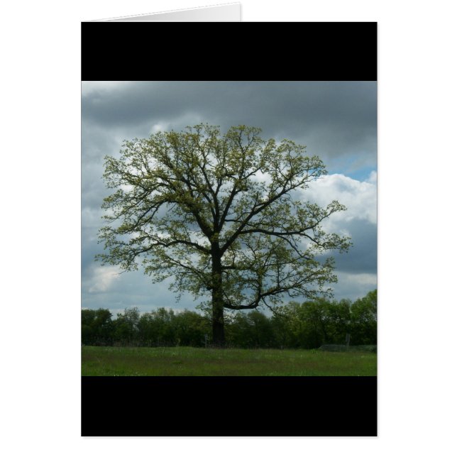 Frühlings-Baum-Karte (Vorne)