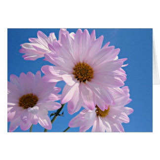 Frühlings-Blumen
