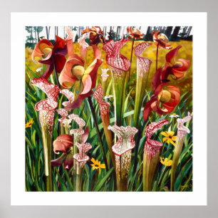 "Frühlings-Blumen" Blumenwatercolor-Kunst Poster