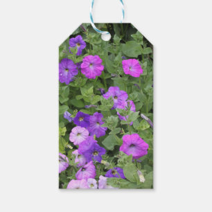 Frühlings-Blumen-lila Garten-Petunie-BlumenFoto Geschenkanhänger