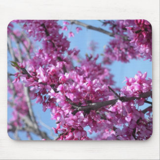 Frühlings-Blumen Mousepad
