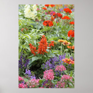 Frühlings-Blumen Poster