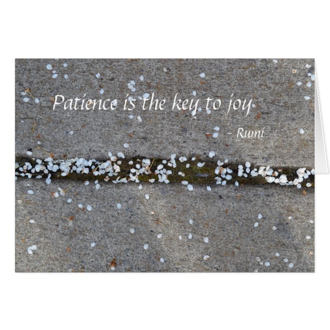 Frühlings-Blumenblätter Rumi Freude (Vorderseite (Horizontal))