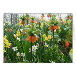 Frühlings-Blumenspaß - Gelb und Orange