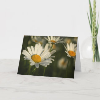 Frühlings-Blüte Karte