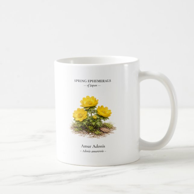 Frühlings-Ephemeriden Japans – Amur-Adonis Kaffeetasse (Rechts)