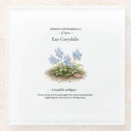 Frühlings-Ephemeriden Japans – Ezo Corydalis Glasuntersetzer