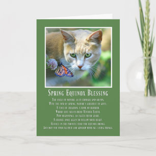 Frühlings-Equinox-Ostara-Katze und Schmetterling Karte