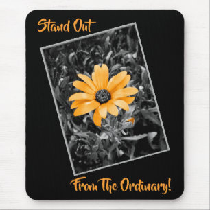 Frühlings-Gänseblümchen-orange Mousepad