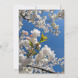 Frühlings-Kirschblüten Einladung