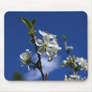 Frühlings-Knospen Mousepad