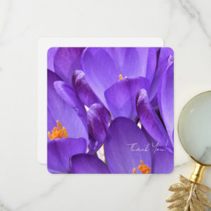 Frühlings-Krokus-Blumenfotografie Dankeskarte