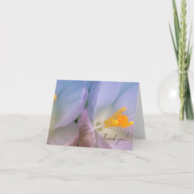 Frühlings-Krokus-Fotografie Dankeskarte (Vorderseite)