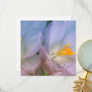 Frühlings-Krokus-Fotografie Dankeskarte