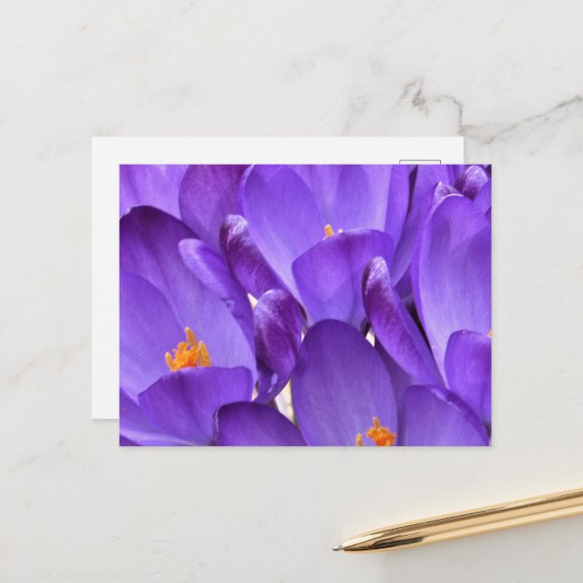 Frühlings-Krokus-Fotografie Postkarte (Vorderseite/Rückseite Beispiel)