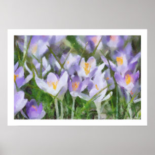 Frühlings-Krokus-Grafik Poster