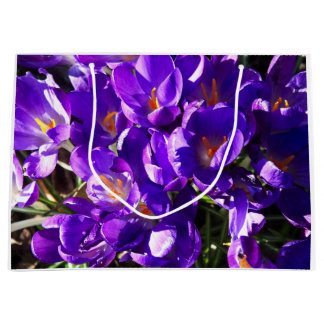 FRÜHLINGS-KROKUS GROßE GESCHENKTÜTE