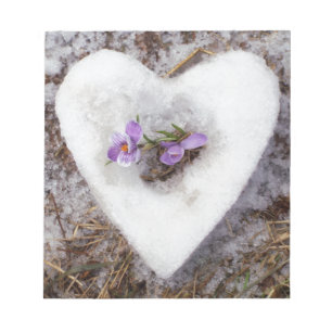 Frühlings-Krokus in Schnee-Herz-Fotografie Notizblock