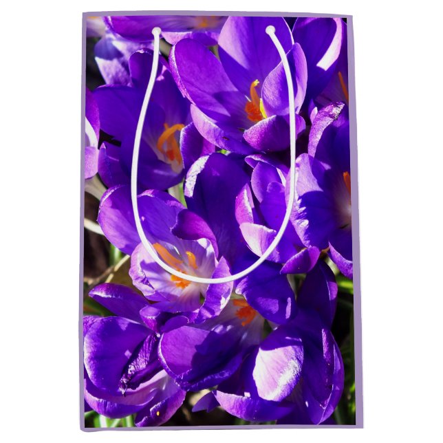 FRÜHLINGS-KROKUS MITTLERE GESCHENKTÜTE (Vorderseite)