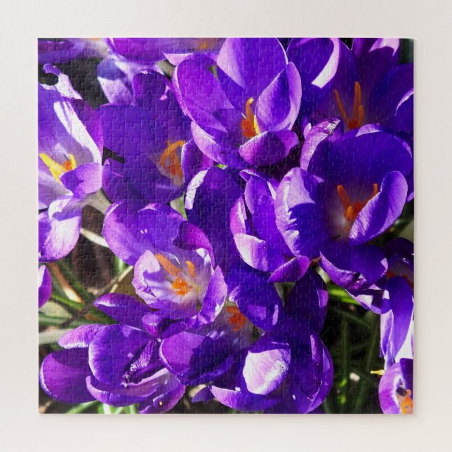 FRÜHLINGS-KROKUS PUZZLE (Vertikal)