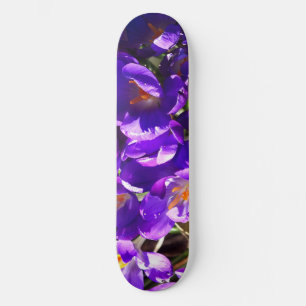 FRÜHLINGS-KROKUS SKATEBOARD