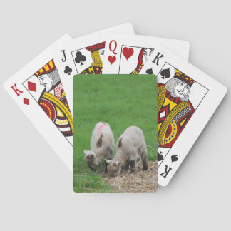 Frühlings-Lämmer Spielkarten