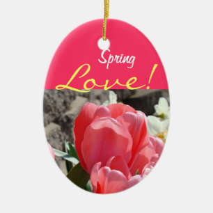 Frühlings-Liebe! Verzierungsgeschenke zacken seins Keramikornament
