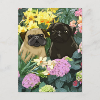Frühlings-Mops Postkarten