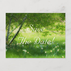 Frühlings-Narzissen, die Save the Date Wedding Ankündigungspostkarte