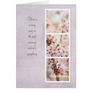 Frühlings-Romance Kirschblüten