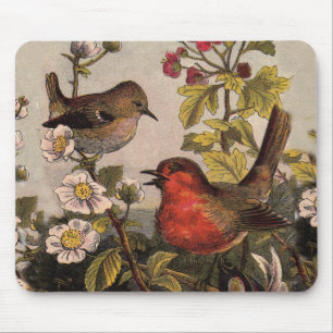 Frühlings-Rotkehlchen-Vögel Rotvögel-Beobachtung Mousepad