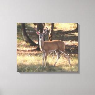 Frühlings-Samt-Leinwand Leinwanddruck