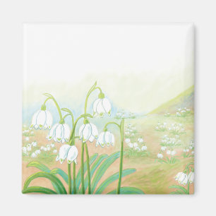 Frühlings-Schneeglöckchen, Leucojum vernum Illustr Magnet