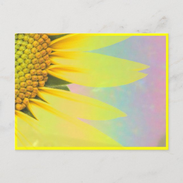 Frühlings-Sonnenblumen Postkarte (Vorderseite)