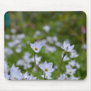 Frühlings-Starflower Mousepad
