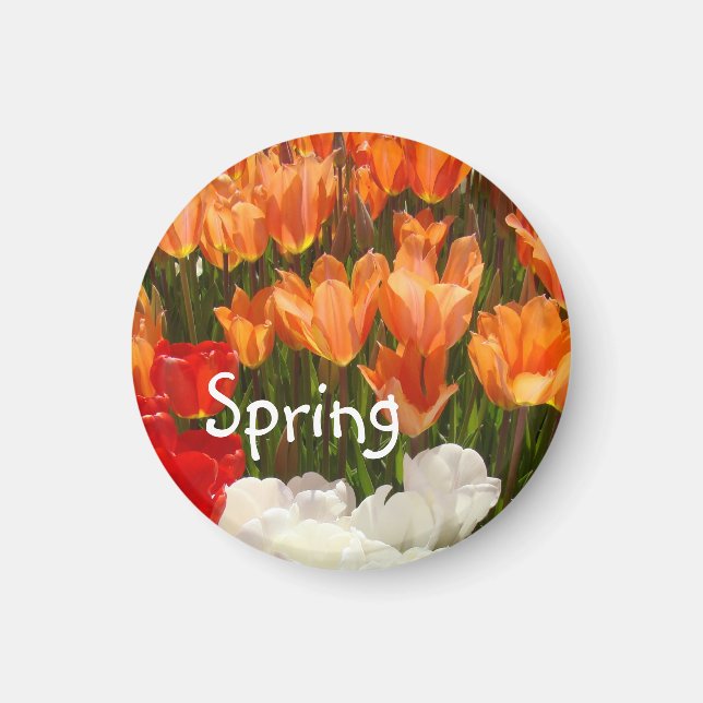 Frühlings-Tulpe-Blumenmagneten Orangen-Tulpen Magnet (Vorne)