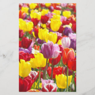 Frühlings-Tulpe-Briefpapier-kundenspezifischer Briefpapier