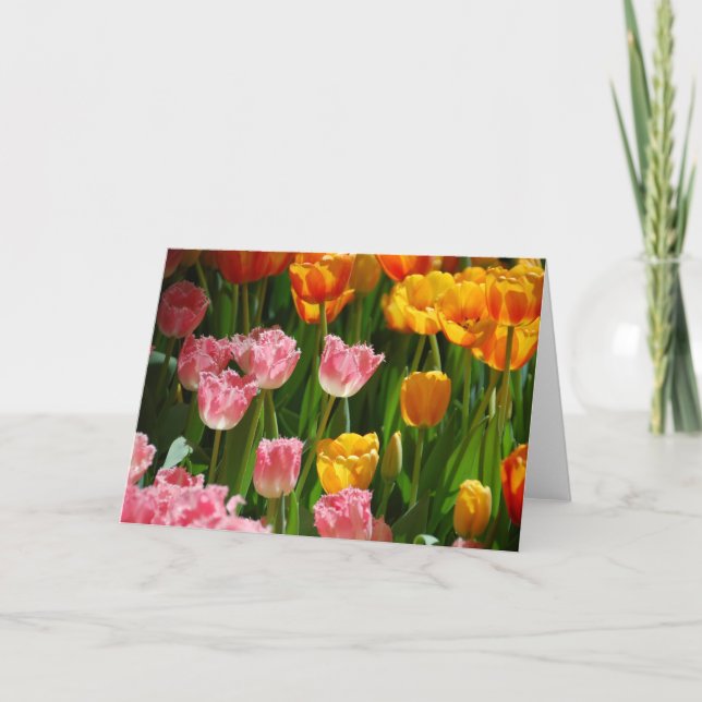 Frühlings-Tulpe-Karte Karte (Vorderseite)