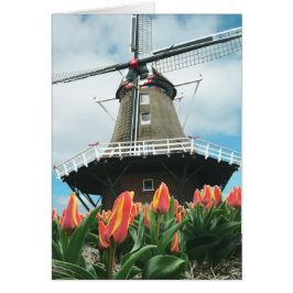 Frühlings-Tulpe-Windmühle