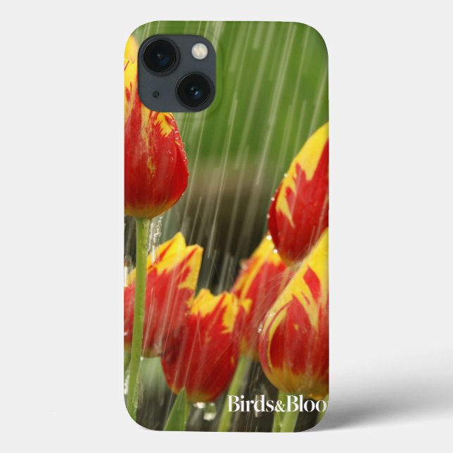 Frühlings-Tulpen Case-Mate iPhone Hülle (Rückseite)