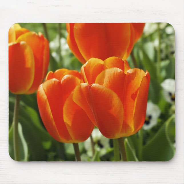 Frühlings-Tulpen-Garten Mousepad (Vorne)