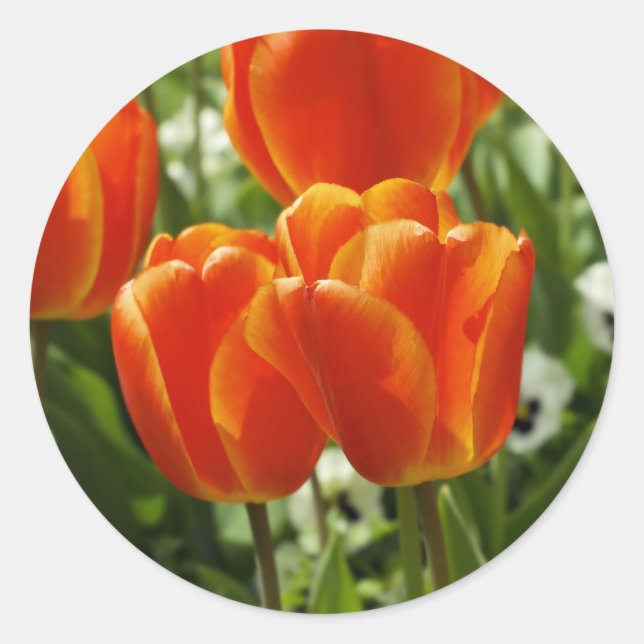 Frühlings-Tulpen-Garten Runder Aufkleber (Vorderseite)