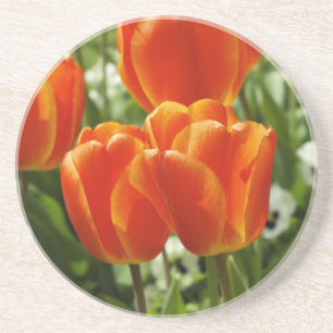Frühlings-Tulpen-Garten Untersetzer