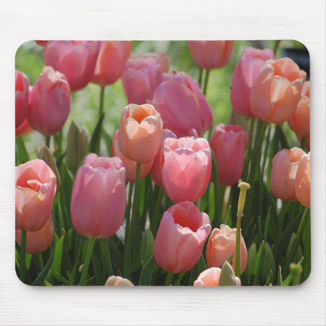 Frühlings-Tulpen Mousepad (Vorne)