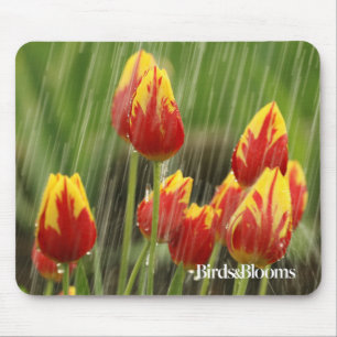 Frühlings-Tulpen Mousepad