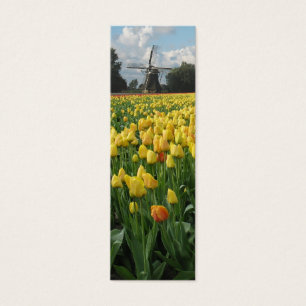 Frühlings-Tulpen und Windmühle