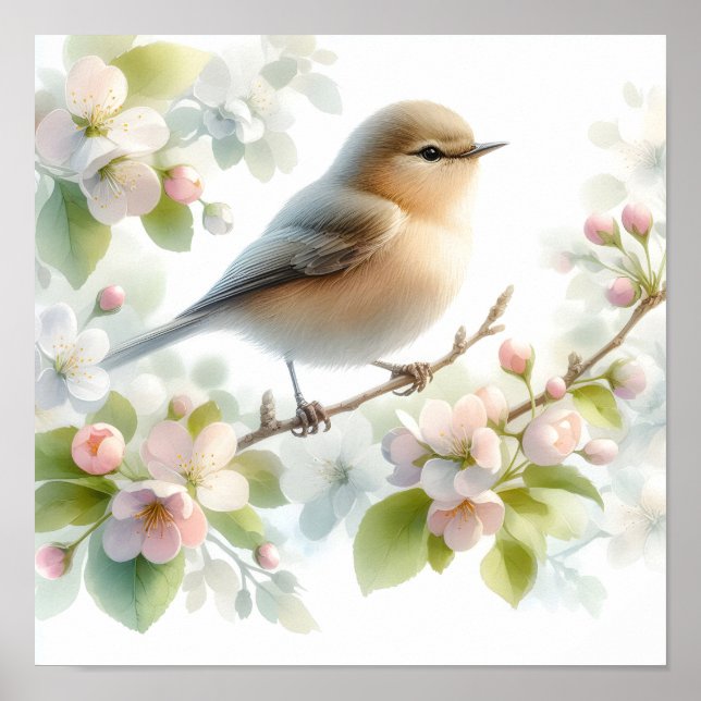 Frühlings-Vogel-Kirschblüten-Aquarell Poster (Vorne)